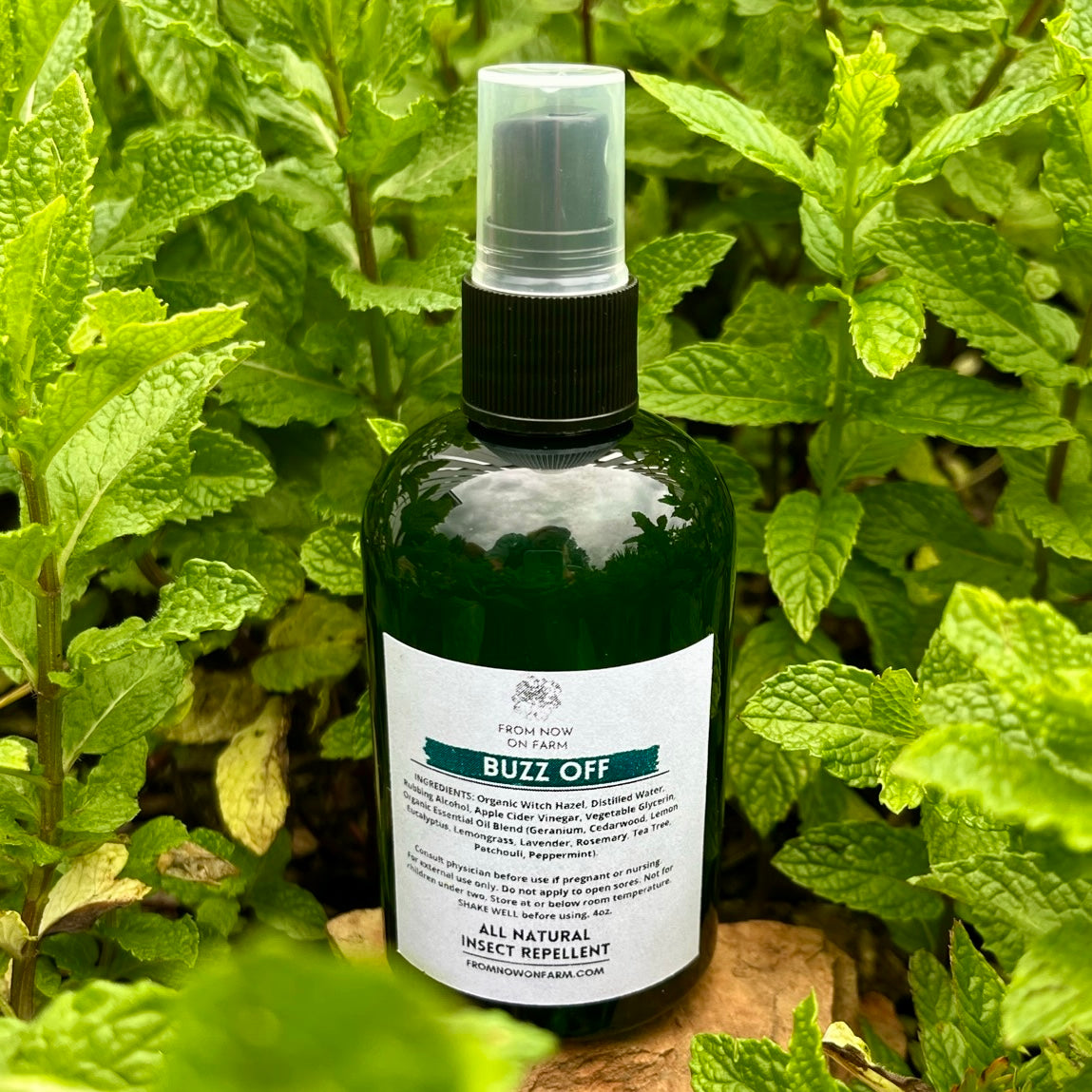 All Natural Insect Repellant -4oz