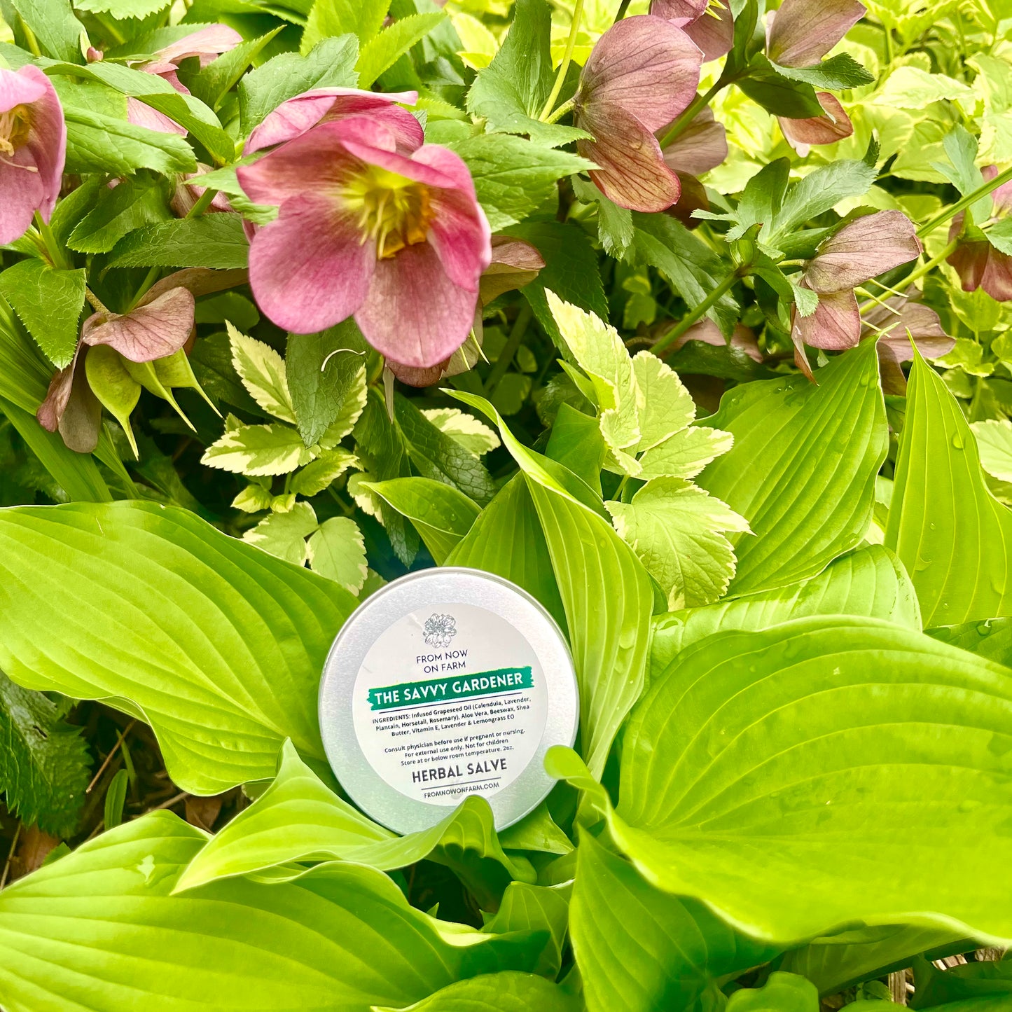 The Savvy Gardener Salve
