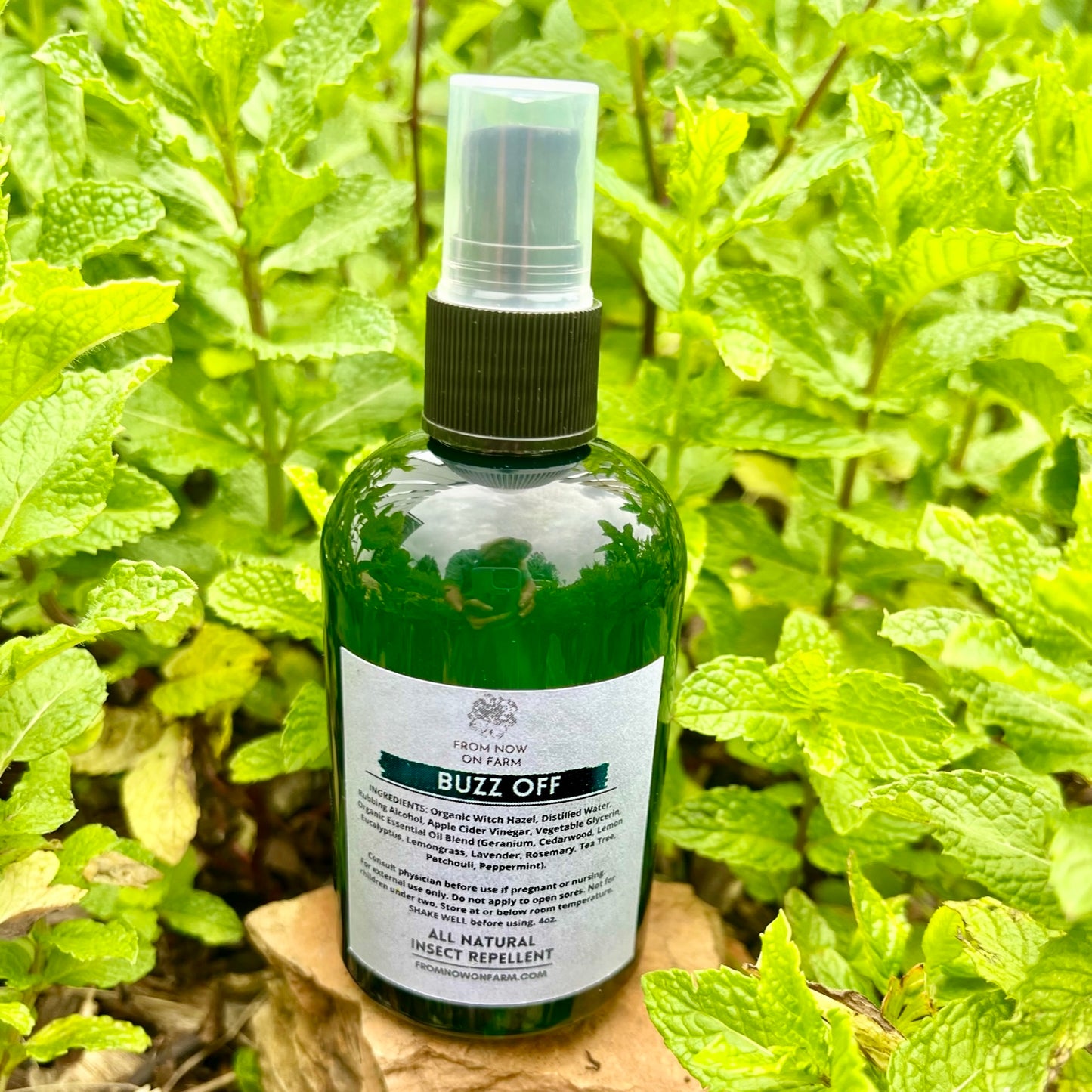 All Natural Insect Repellant -4oz